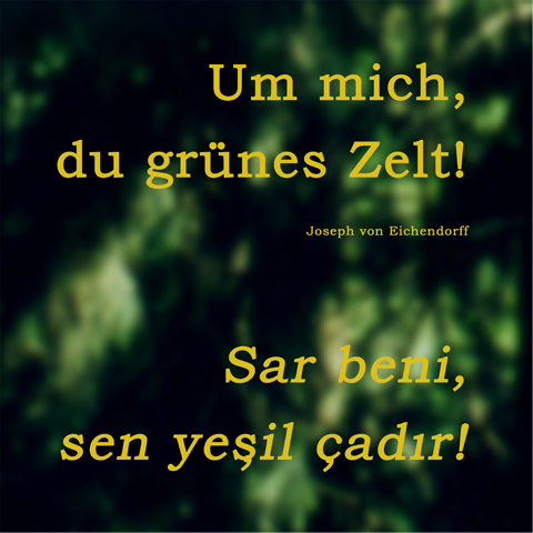 Kirsten K&ouml;tter: Deutscher Wald, 2001, Fotoprint, 40 &times; 40 cm