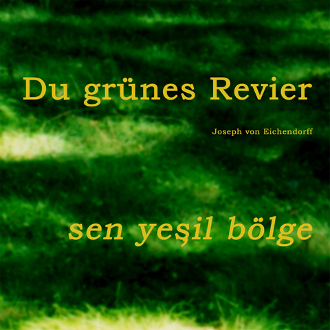 Kirsten K&ouml;tter: Deutscher Wald, 2001, Fotoprint, 40 &times; 40 cm