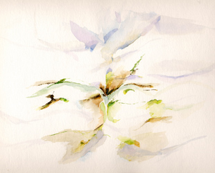 Painting Site-specific: 69° N / 27° O (Serie: NordNordOst), Berg bei Kevo, Finnland, 27.06.2003, ca. 8.00 - 9.00, Aquarell, 30 &times; 40 cm, Foto, Video, Text (12/36) von Kirsten K&ouml;tter