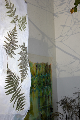 Kirsten K&ouml;tter: Installation zum 'Organischen Archiv' mit Projektion von Samen und Kunstwerken bei den 'Open Doors', basis, Frankfurt, 2012