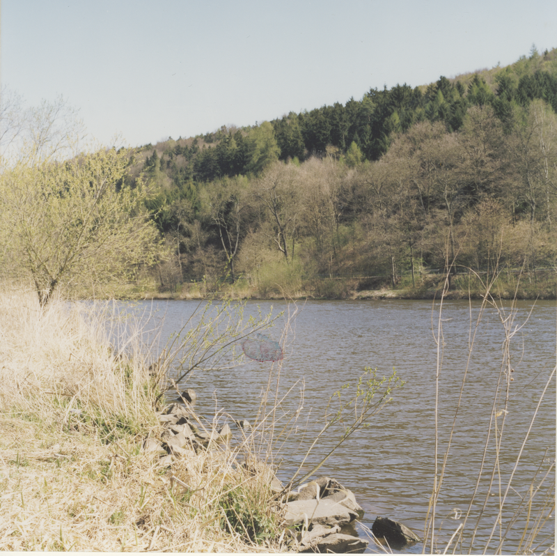 2003_see-boden-wald_foto_125-15, photo print, ca. 20 × 20 cm (Kirsten Kötter)