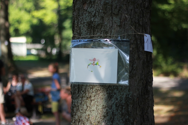 2025-08-19_malathon-chemnitz_11_baum_2840, watercolour, 17 × 24 cm (Kirsten Kötter)