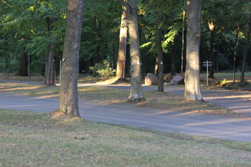 2025-08-18_malathon-chemnitz_zahlen_2760 (Kirsten Kötter)