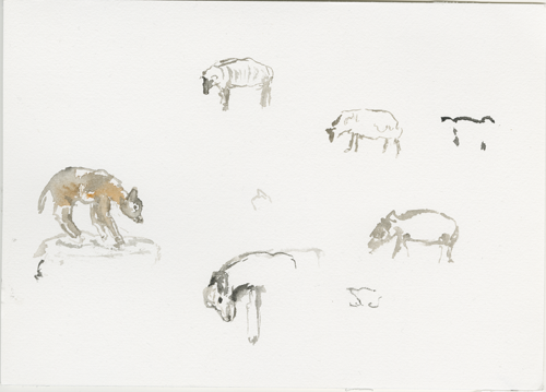 2018-04-16_ziegen-schafe, 17 x 24 cm  (Kirsten Kötter)